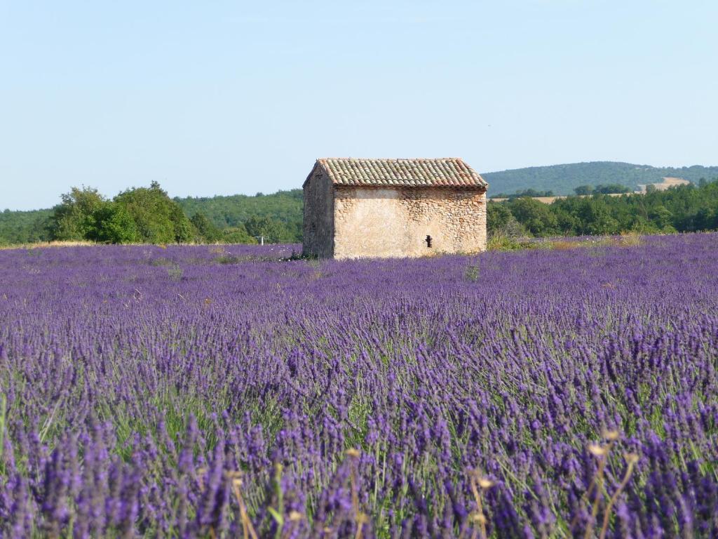 Residence Les Peupliers Loriol-du-Comtat Exteriör bild
